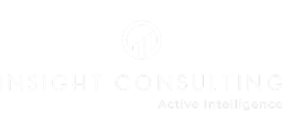 Insights Consulting