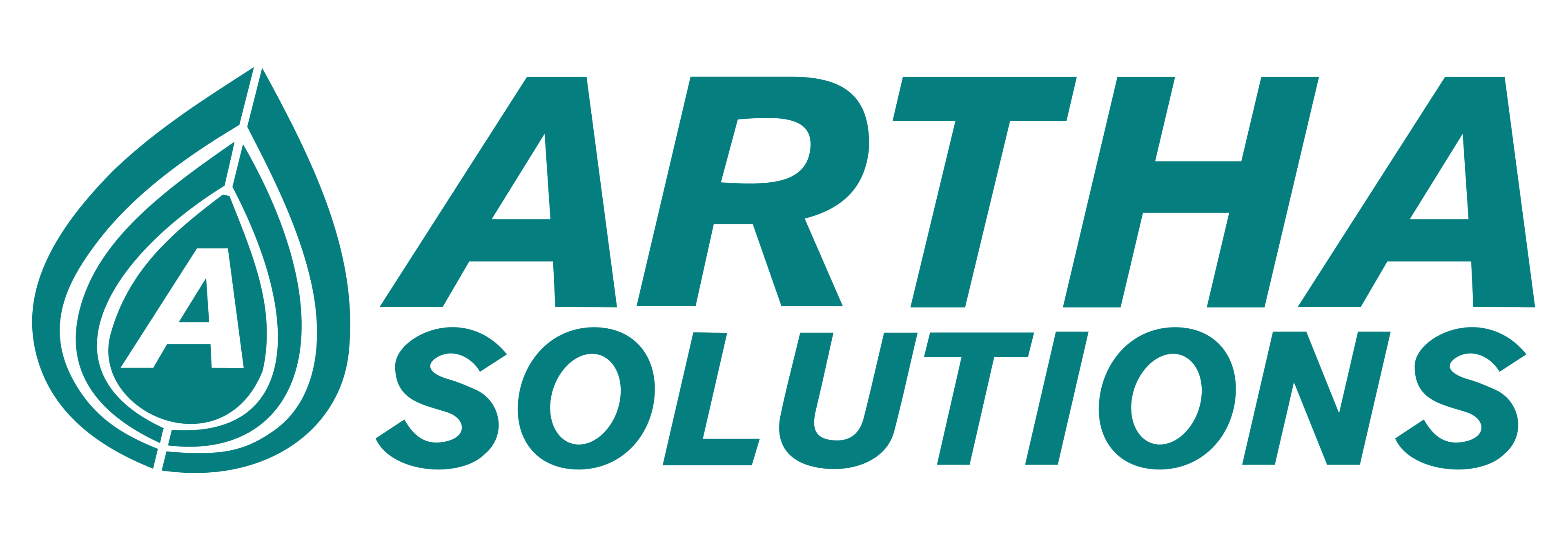 Sponsors: Media Item - Artha Solutions