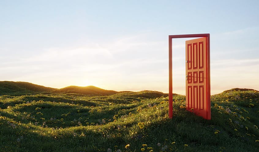 A vibrant red door stands open in a lush green field with flowers under a clear blue sky.